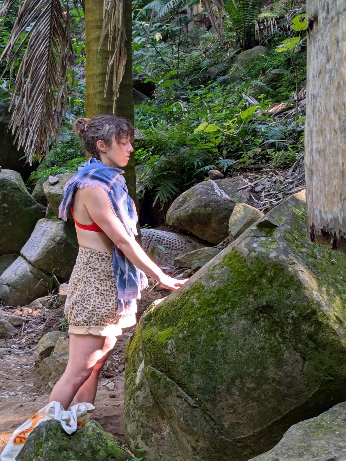 Ritual de los Elementos Sagrados - Experiencia del Santuario de Petroglifos
